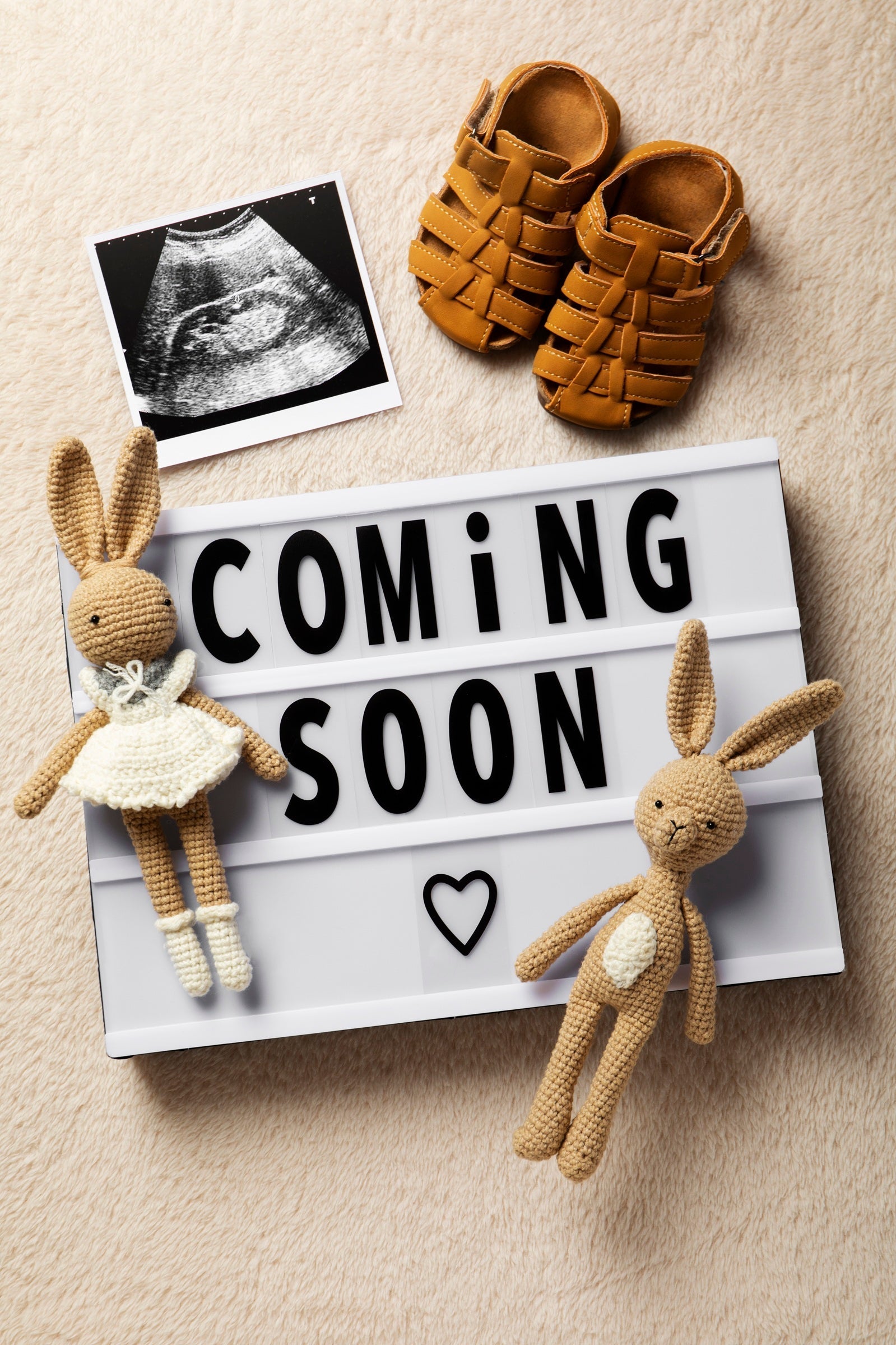 Coming Soon... - Kitten & Lamb